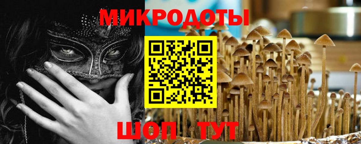 Галлюциногенные грибы MAGIC MUSHROOMS  наркотики  Вход с VPN  Сарапул  Галлюциногенные грибы мухоморы 